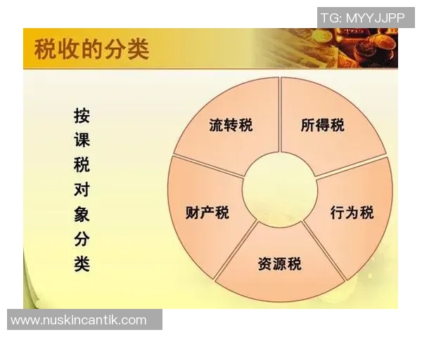 瑞典法国波兰产业集群特点及其对经济发展的影响分析